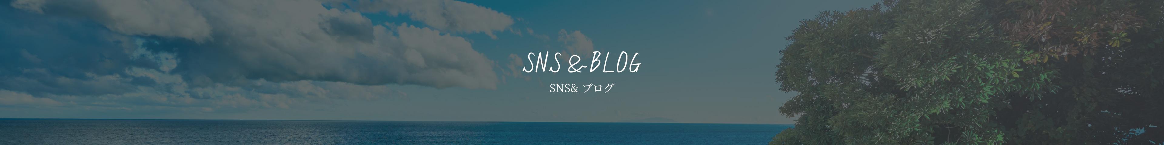 sns_image