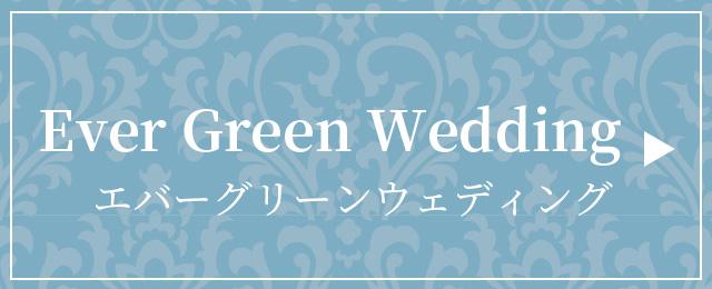 dress_image